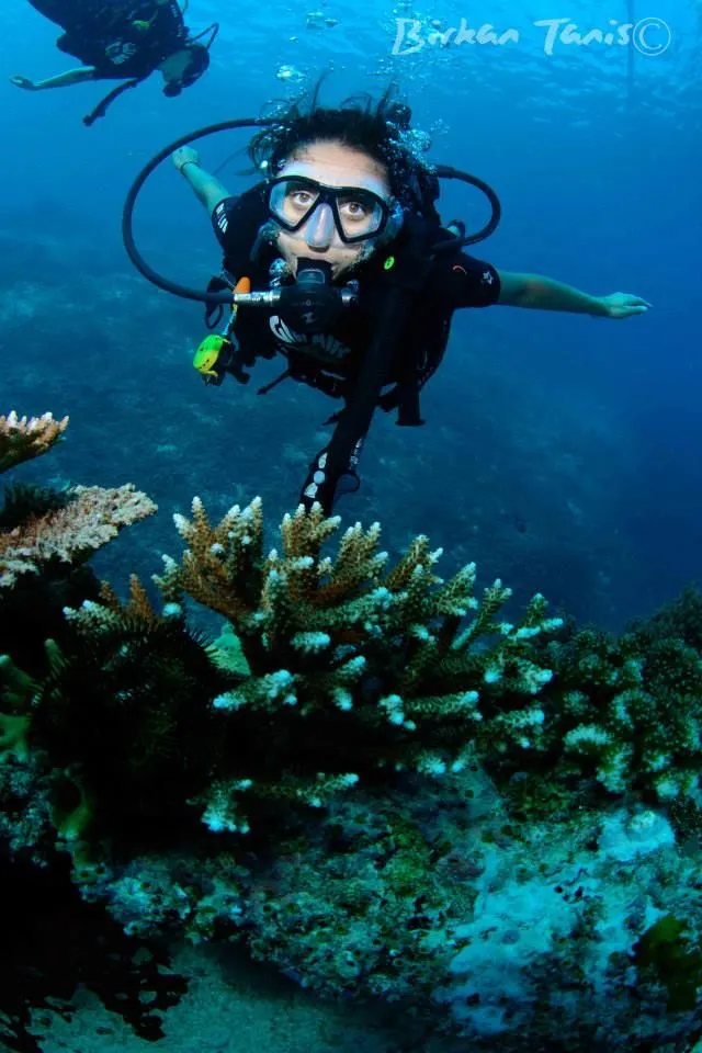 Diver hovering over staghorn coral