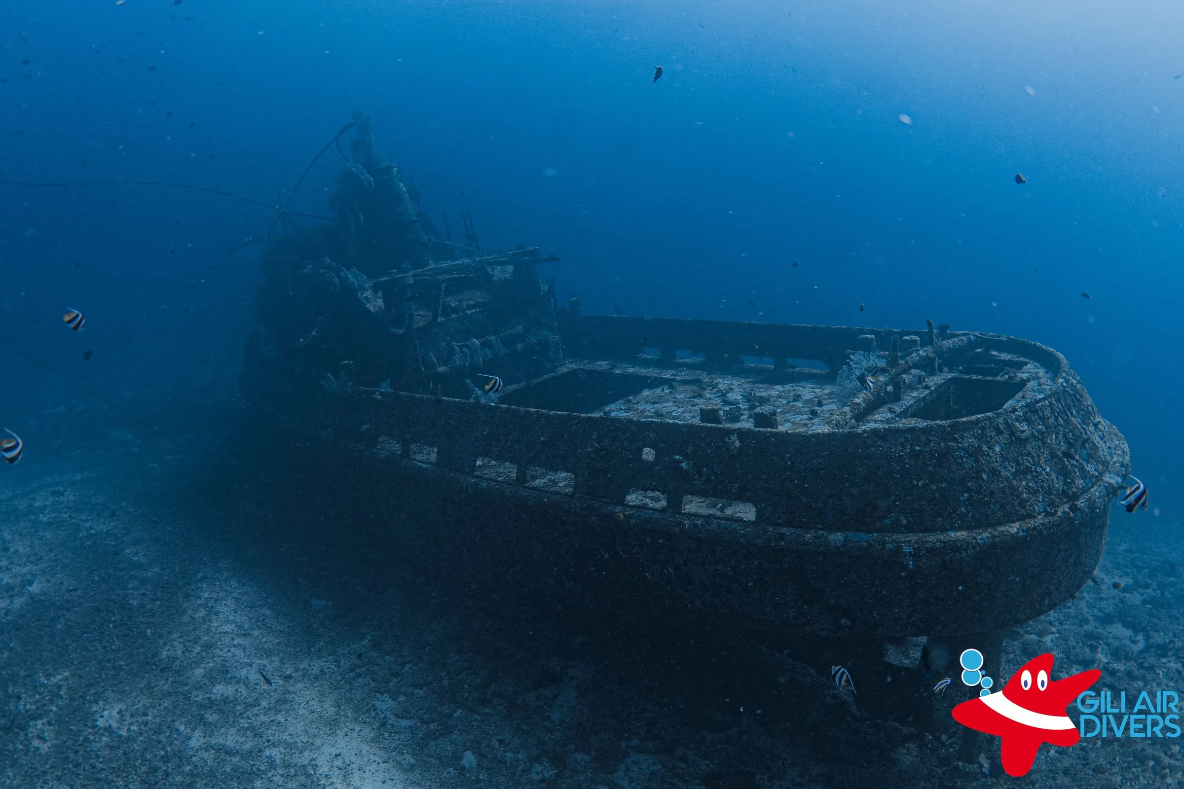 Glenn Nusa wreck in Shark Point