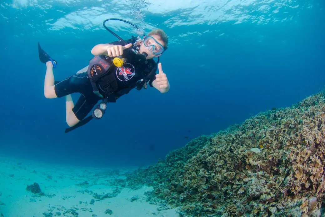 Diver giving OK above reef