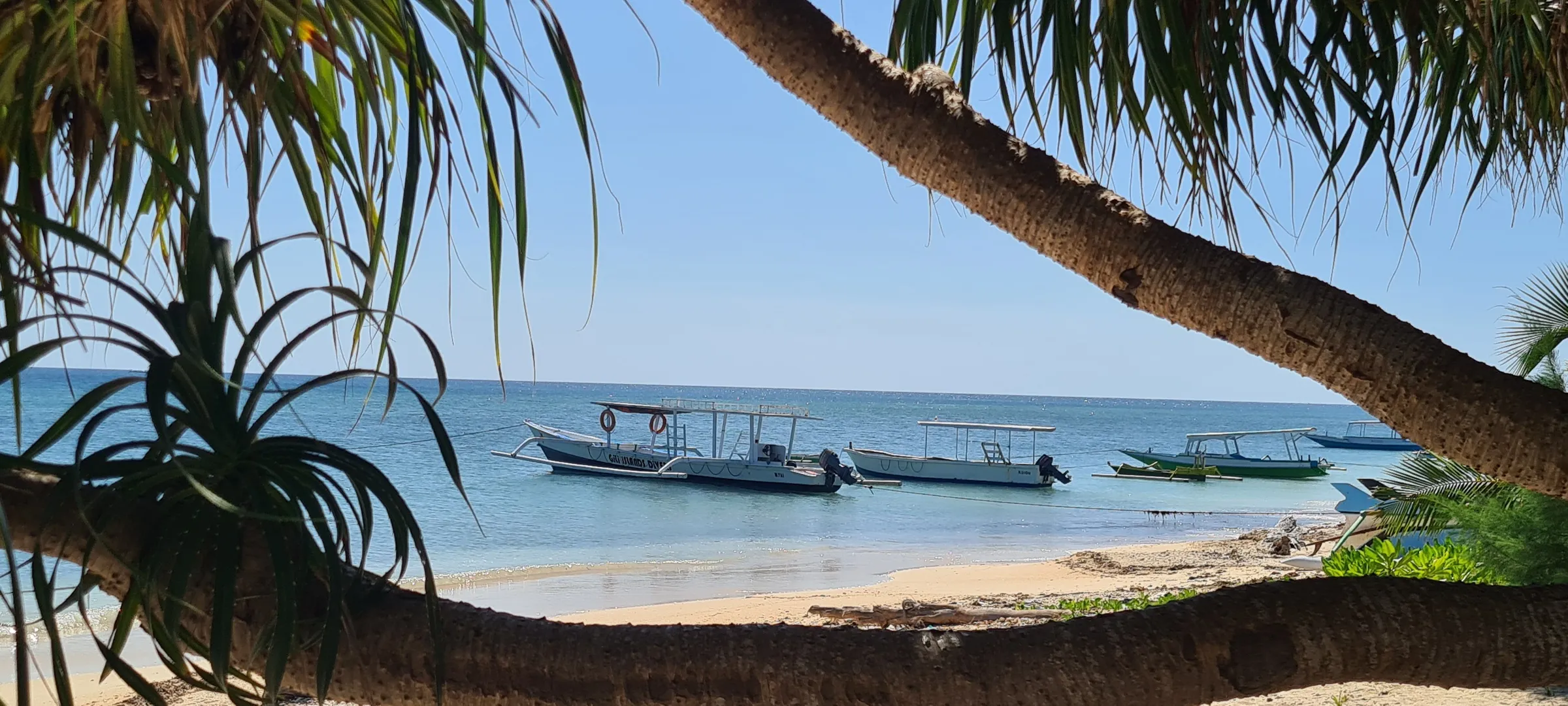 Outrigger on a quiet shore