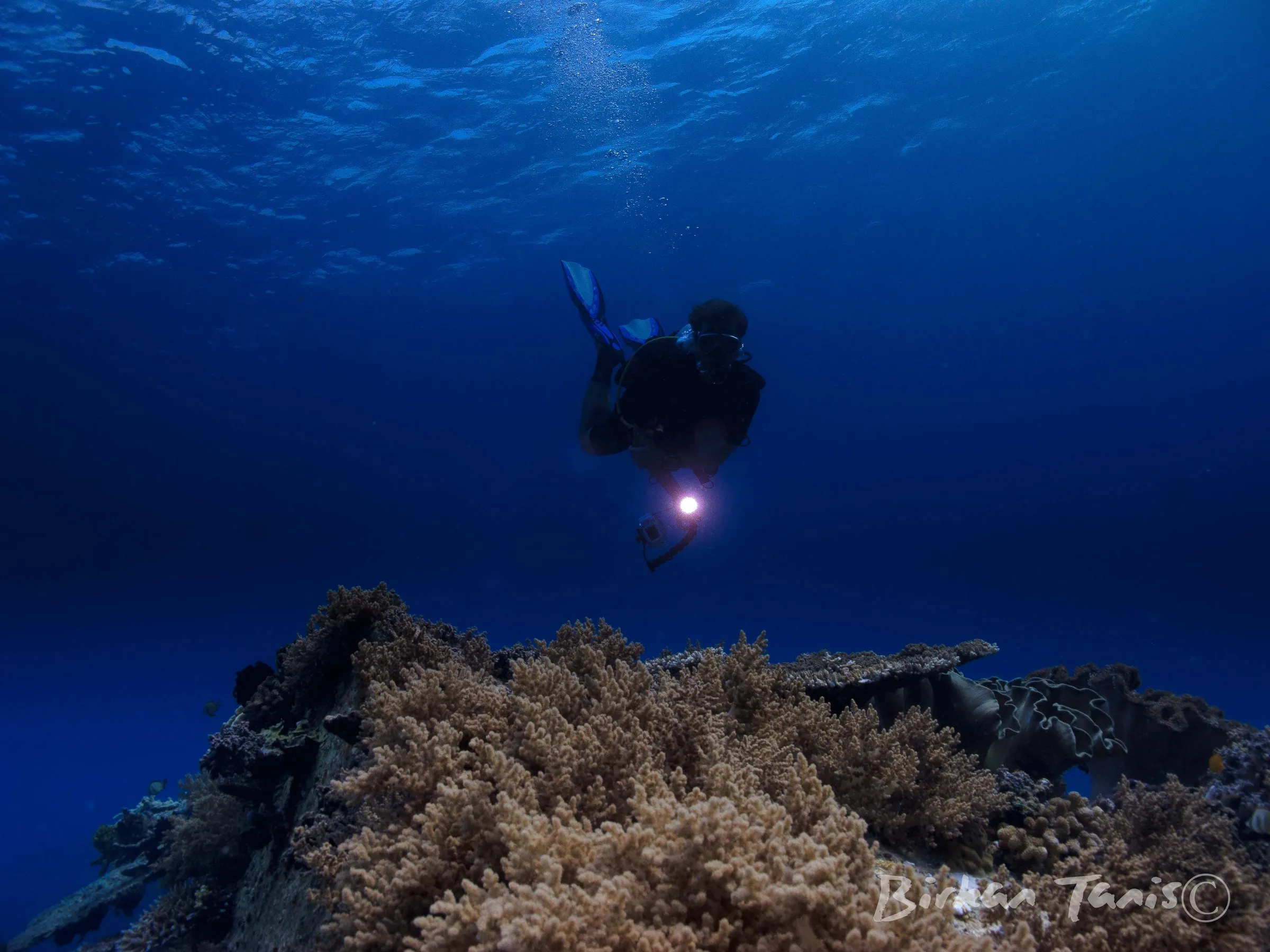 Diver descending into the blue