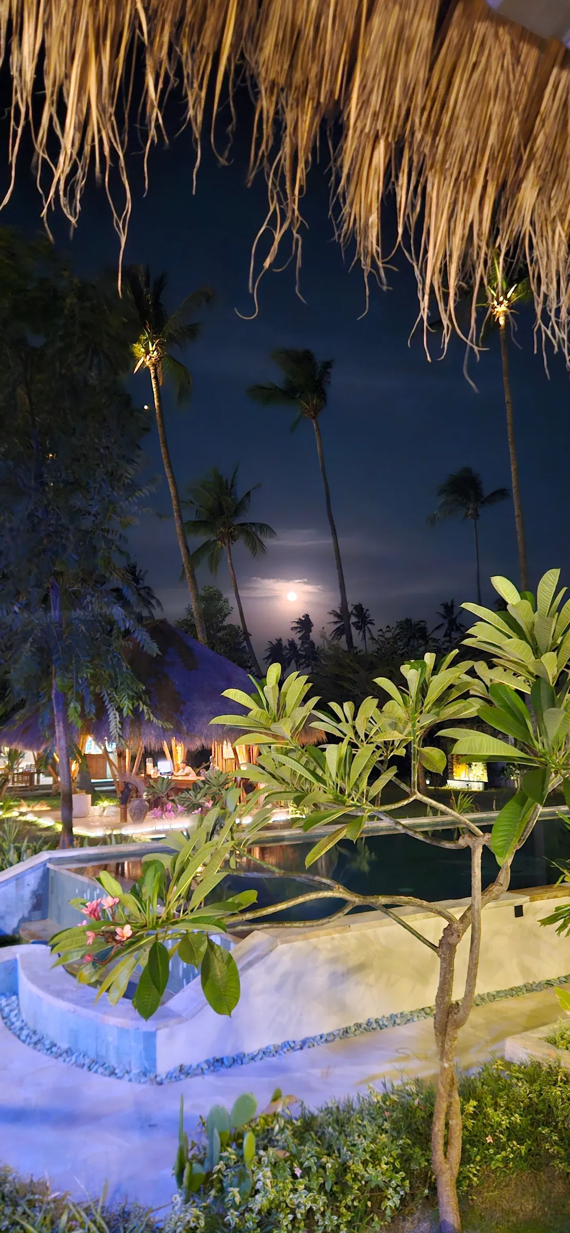 Dive center garden at twilight