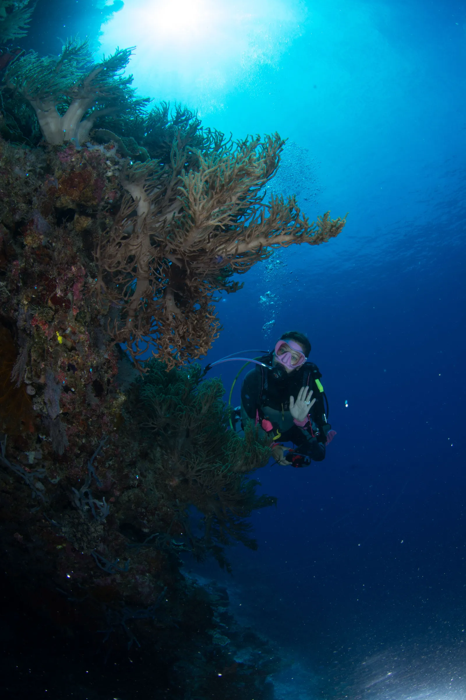 Diver above the reef wall