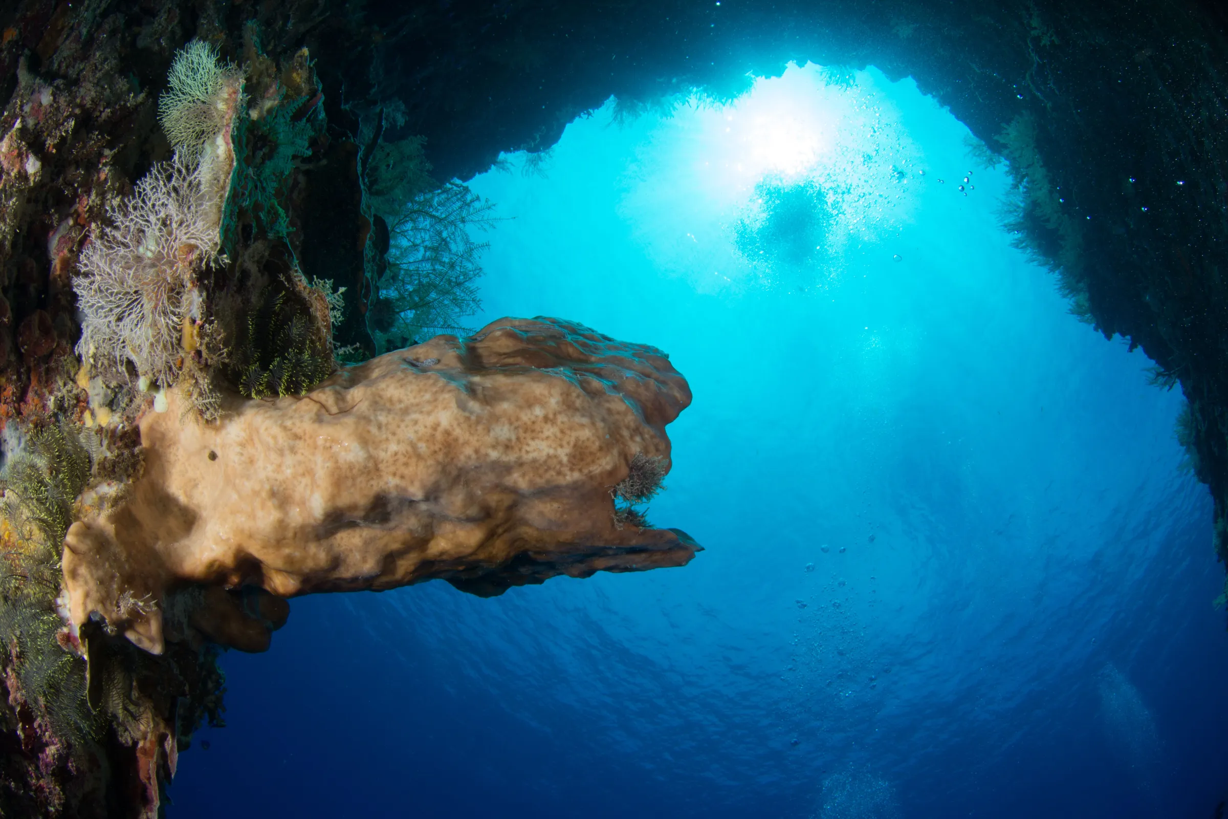 Sponge protruding from the wall