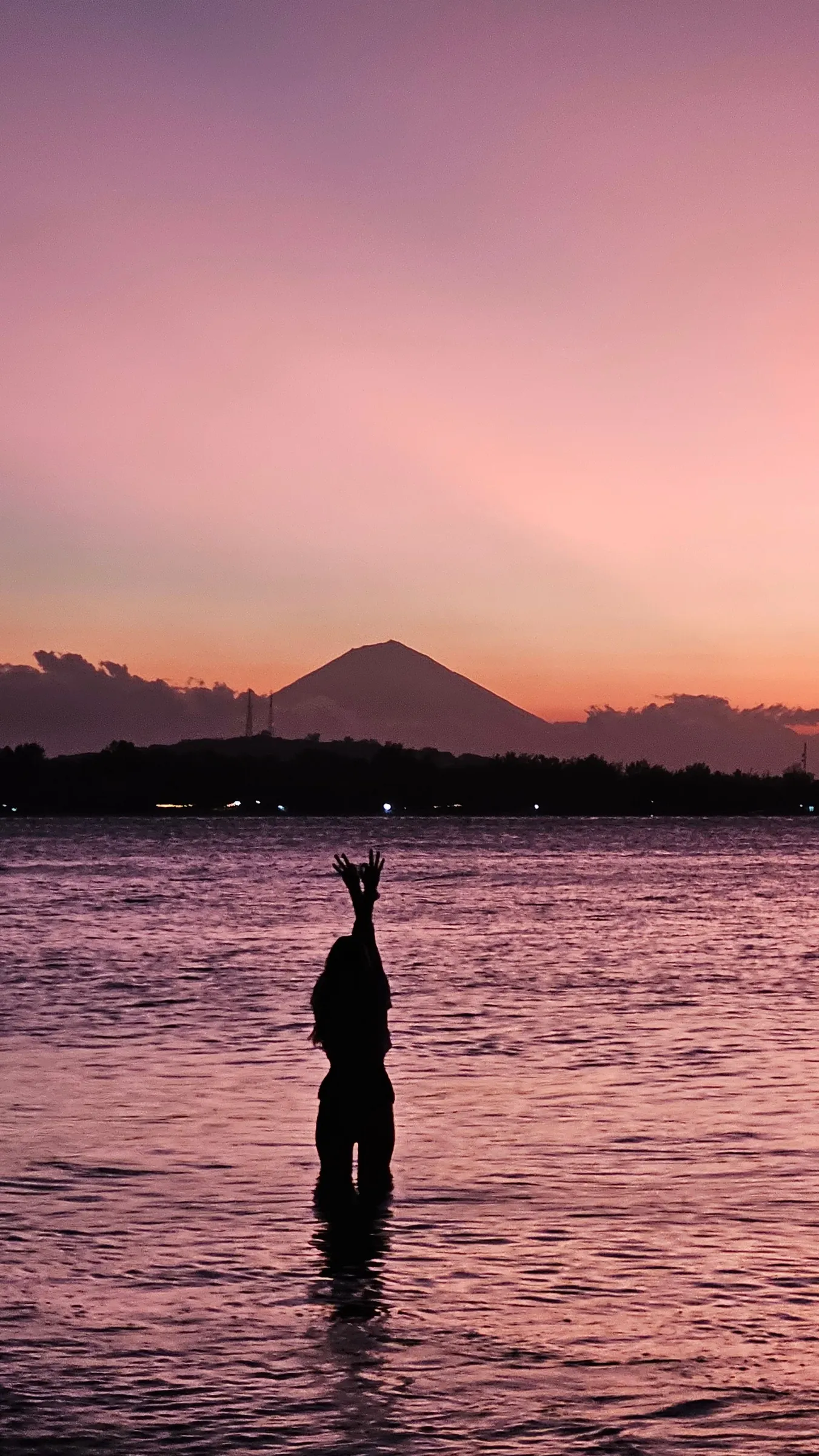 Silhouette at sunset on the shore