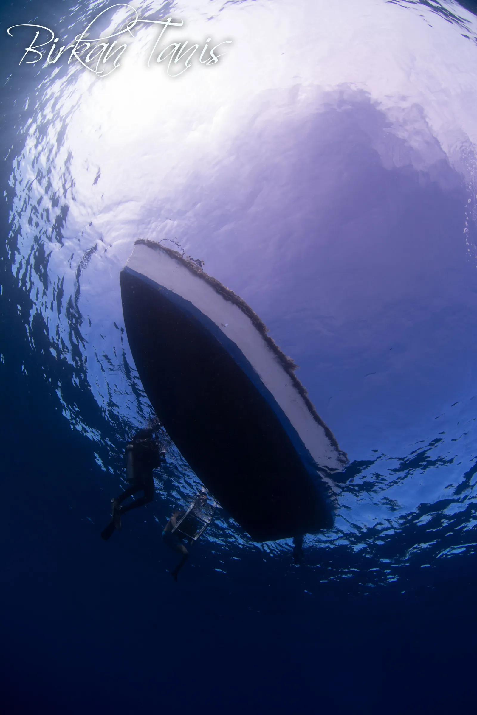 Diver beside giant barrel sponge