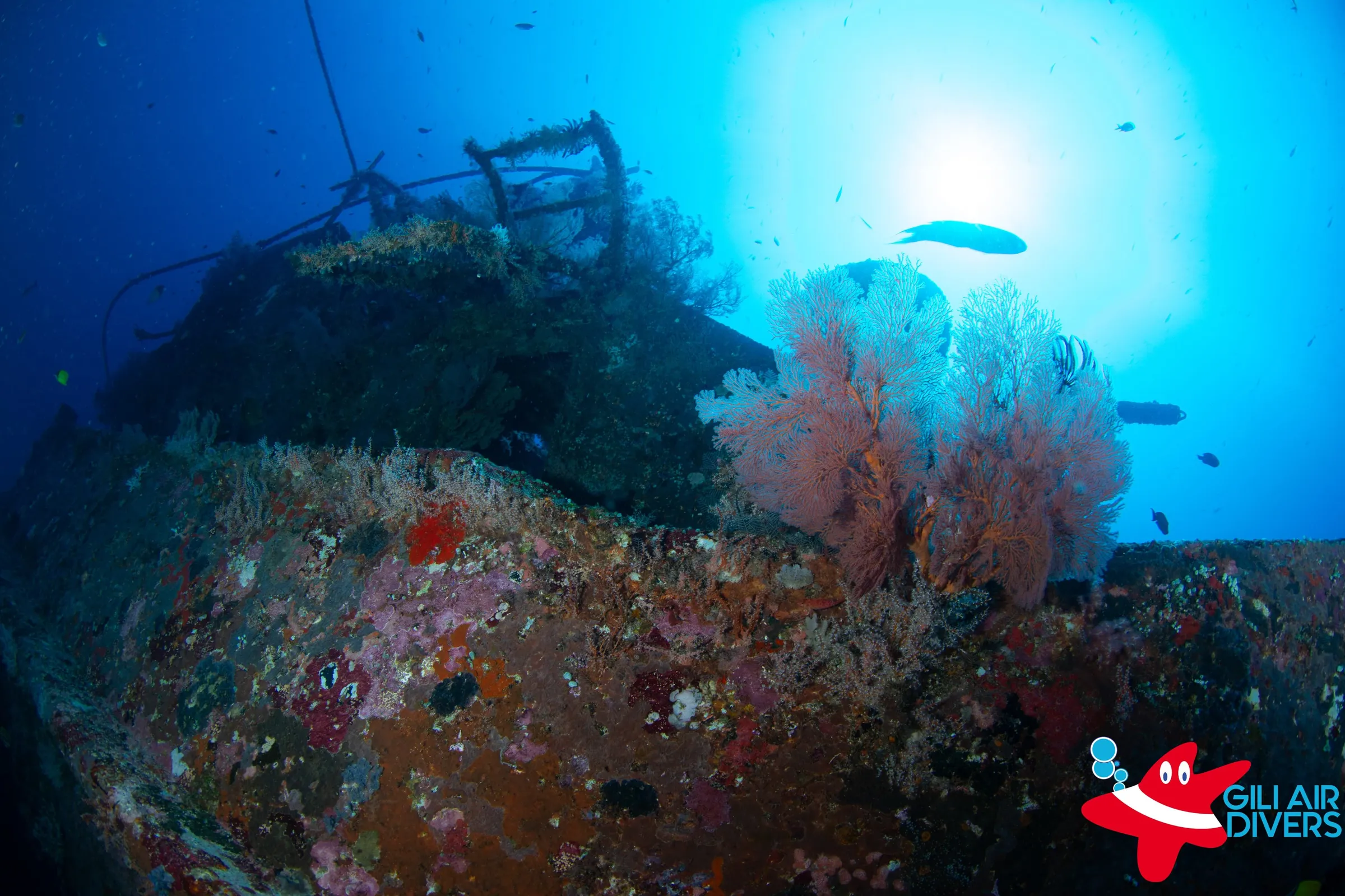 Wreck with diver and fish