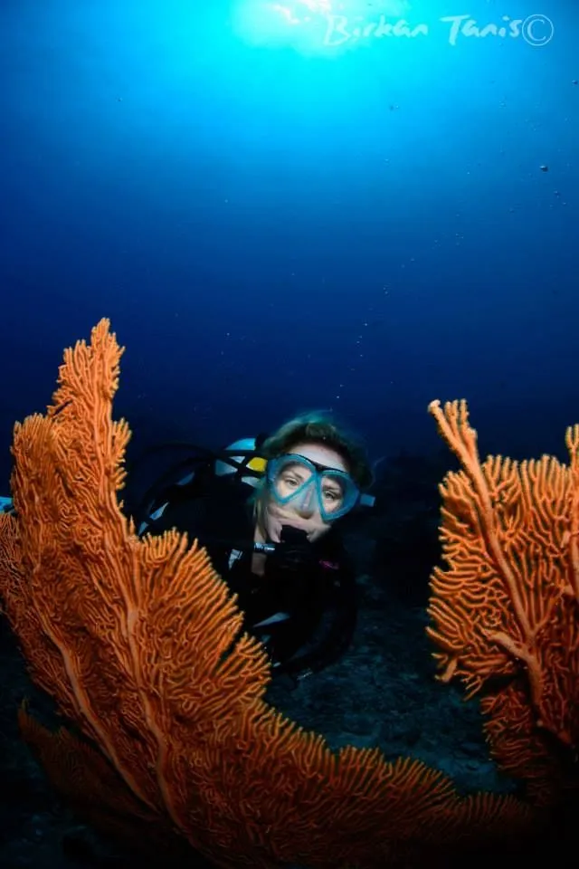 Diver behind a large sea fan