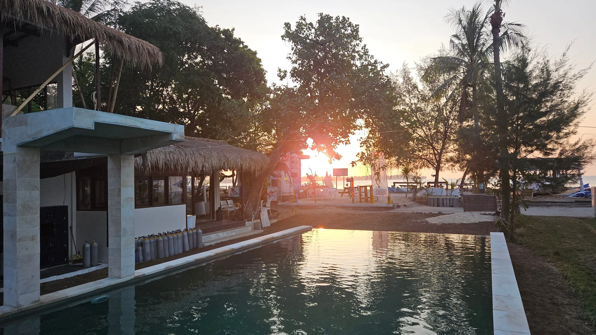 Sunset palms by the pool