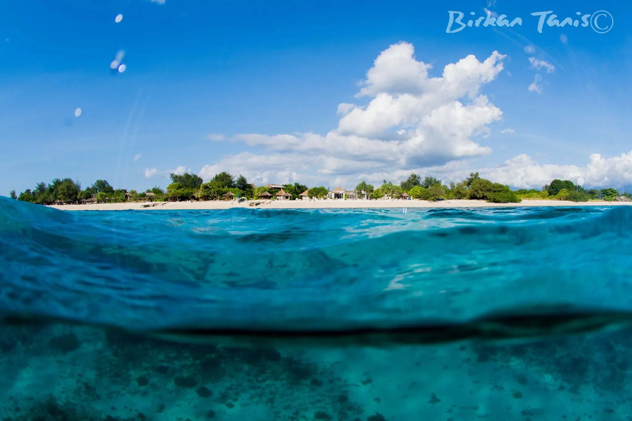 Split-shot of shallow reef