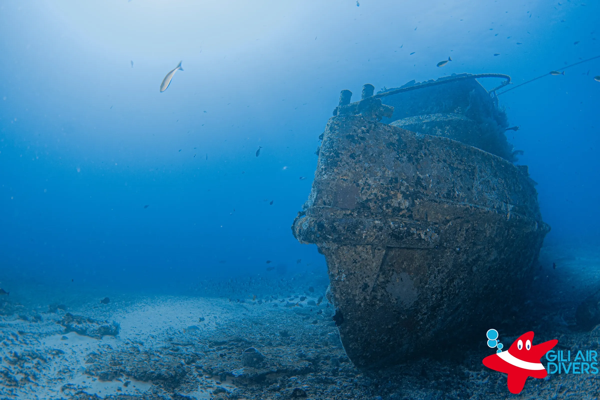 Glenn Nusa Wreck